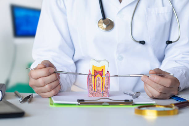 Best Emergency Tooth Extraction in Corvallis, MT